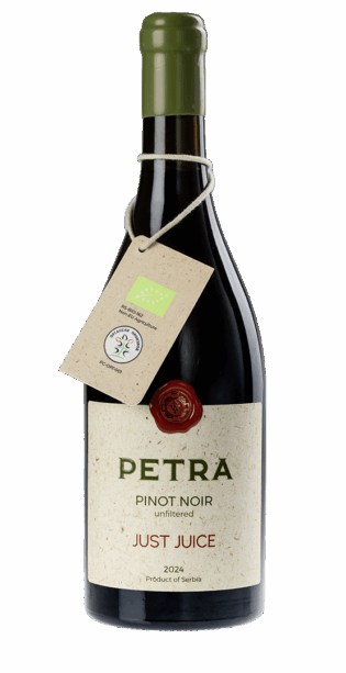 Pinot Noir BARRIQUE - organica unfiltered